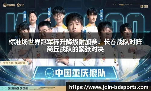 标准场世界冠军杯升降级附加赛：长春战队对阵商丘战队的紧张对决